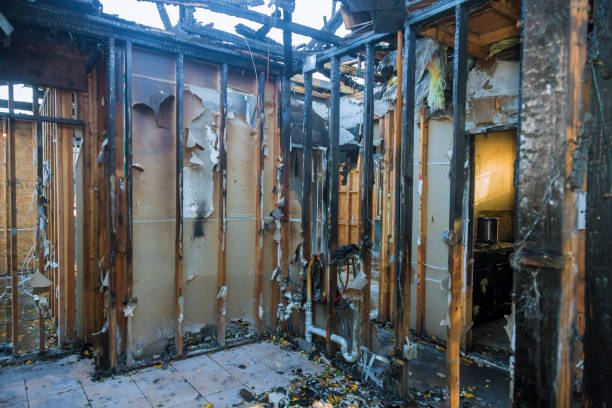 Professional Fire Damage Repair technician working in Buffalo, MN